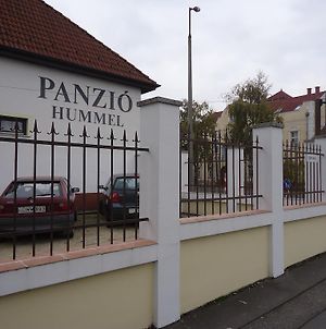 Panzio Hummel photos Exterior