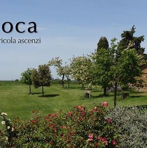 Bicoca - Casaletti photos Exterior