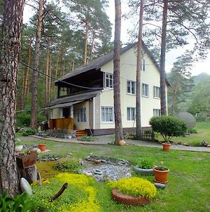 Guesthouse V Sosnovom Boru photos Exterior