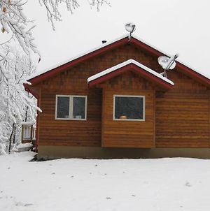 The Bear Cabin photos Exterior