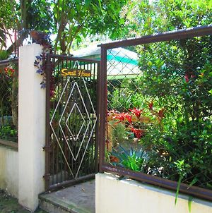 Small House - Baguio photos Exterior