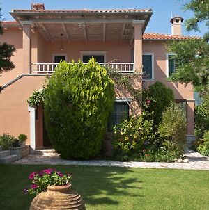 Villa Galini photos Exterior