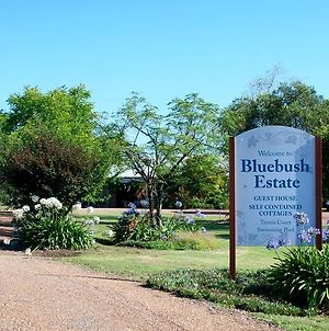 Bluebush Estate photos Exterior