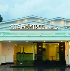 Star Tree Homestay photos Exterior