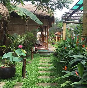 Tropical Garden Homestay photos Exterior