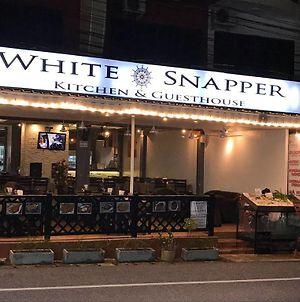 White Snapper Kitchen & Guesthouse photos Exterior