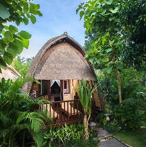 Alam Nusa Bungalow Huts And Spa photos Exterior