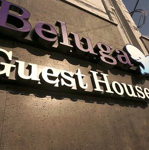 Beluga Guest House Hostel photos Exterior