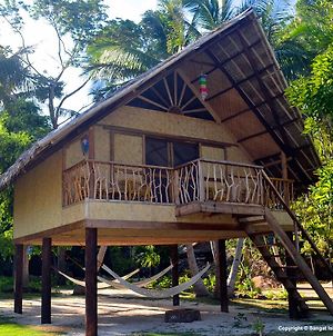 Sangat Island Dive Resort photos Room