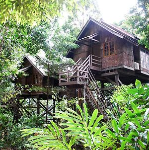 Permai Rainforest Resort photos Exterior