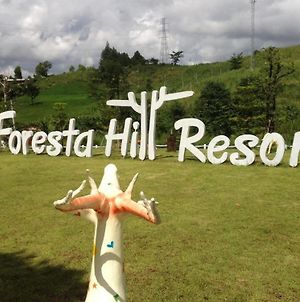 Foresta Hill Resort photos Exterior