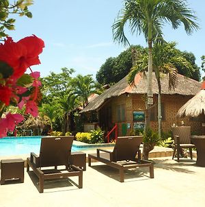 Island Tiki Paradise Resort photos Exterior
