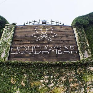 Liquidambar Hotel photos Exterior