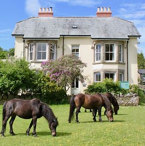 Dartmoor House B And B photos Exterior