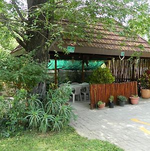Thamalakane Guest House photos Exterior