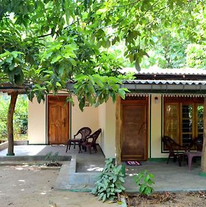 Sigiriya Freedom Lodge photos Exterior