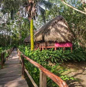Las Guacamayas Lodge Resort, Selva Lacandona, Chiapas Mexico photos Exterior