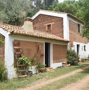 Quiet And Cottage In The Estate Casas Da Cerca, Near Troviscais photos Exterior