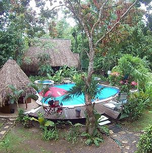 Hotel Hacienda Tijax Jungle Logde photos Exterior