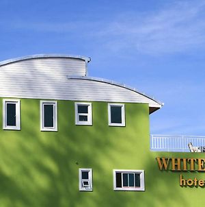 White Cat Hotel photos Exterior