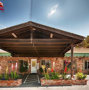 Best Western Vista Manor Lodge photos Exterior