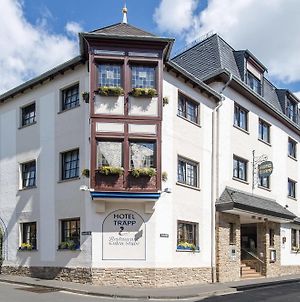 Bruehl'S Hotel Trapp Ruedesheim Am Rhien photos Exterior
