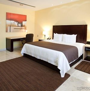 Hipico Inn Hotel photos Room