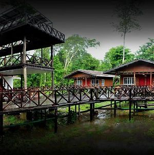 Borneo Nature Lodge photos Exterior