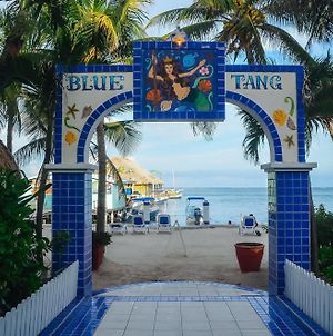 Blue Tang Inn photos Exterior