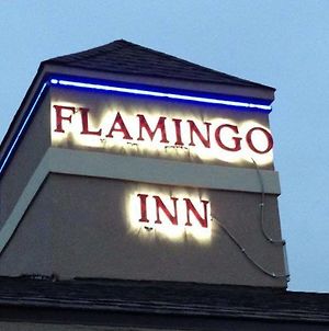 Flamingo Inn photos Exterior