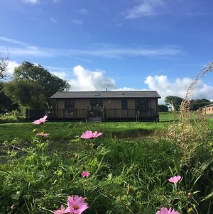 St Tinney Farm Cornish Cottages & Lodges photos Exterior