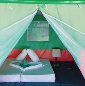 Koh Ngai Camping Restaurant @ Bar photos Exterior