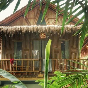 Pondok Salacca#Bamboohouse# photos Exterior