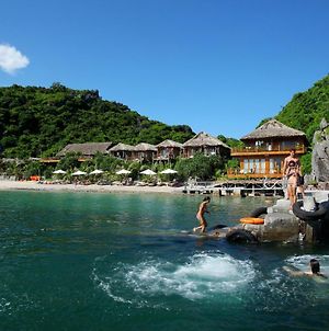 Monkey Island Resort photos Exterior