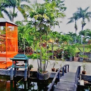 Aquarius Orange Resort photos Exterior