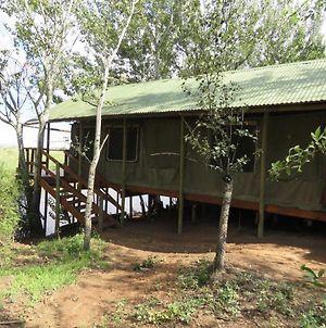 Waterlea-On-River Tented Cabins photos Exterior