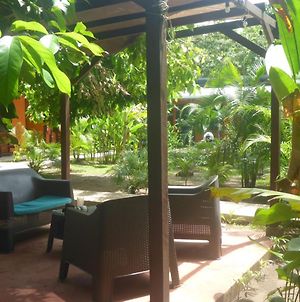 Aracari Garden Hostel photos Exterior