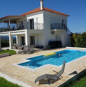 Elegant Villa In Evangelismos With Pool, Garden Near Seabeach photos Exterior