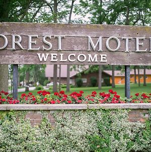 Forest Motel & Woodland Retreat photos Exterior