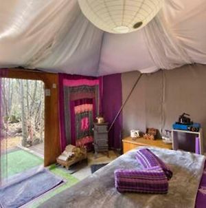 Fern Lodge - Romantic Retreat photos Exterior