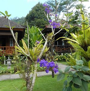Kubu Alas Tunggal Villa photos Exterior
