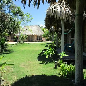 Cerros Beach Inn photos Exterior