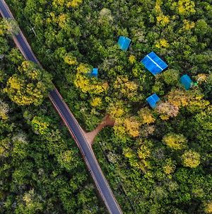 Thick Forest Sigiriya photos Exterior