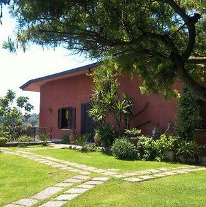 Villa Daniela photos Exterior