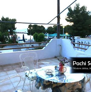 Pachi Seaside photos Exterior
