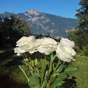 B&B White Rose photos Exterior
