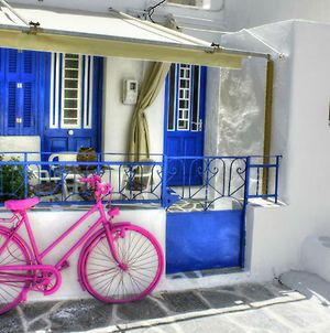 The Hot Pink Bike House photos Exterior