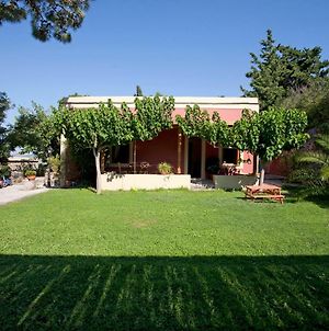 Montofoli Wine Estate photos Exterior