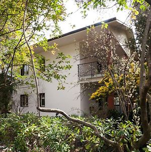 Villa Sull'Etna Immersa Nel Bosco photos Exterior