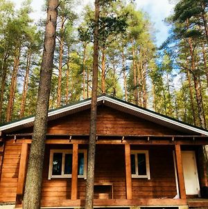 House In A Pine Forest photos Exterior